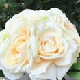 thumbnail image 2 of Enova Home Artificial Open Rose Silk Flowers in Clear Glass Vase with Faux Water (Blush), 2 of 3