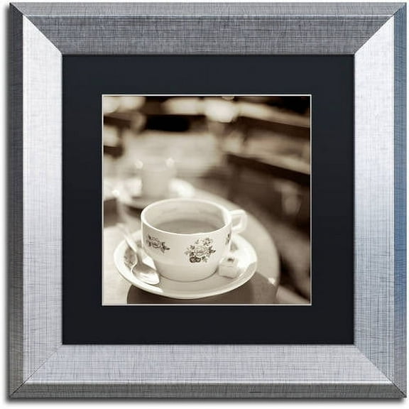 Trademark Fine Art "Jardin du Luxembourg II" Canvas Art by Alan Blaustein, Black Matte, Silver Frame