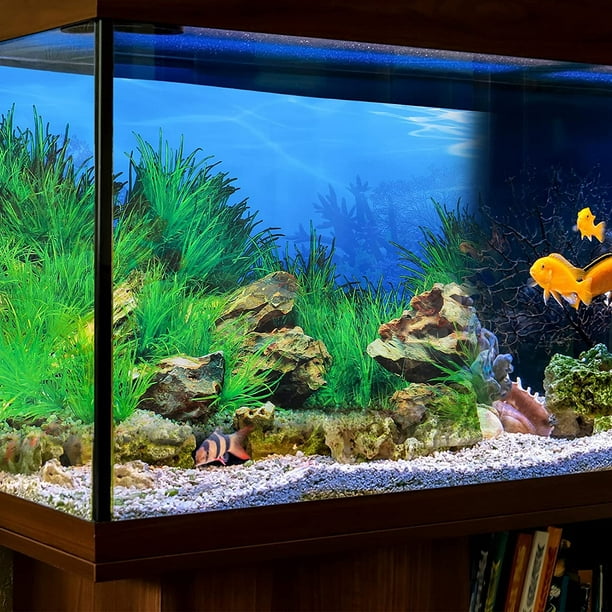IGUOHAO Aquarium Poster Underwater Marine Coral Fish Tank