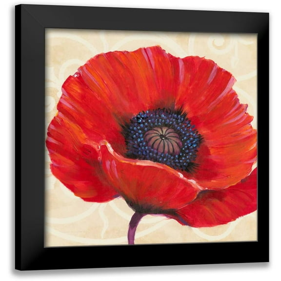 OToole, Tim 12x12 Black Modern Framed Museum Art Print Titled - Red Poppy I