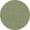 Green, variant on Member's Mark Active Short
