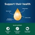 thumbnail image 4 of Pet Protect Cat Probiotic Balance+ Oral Gel, Vet-Formulated Endurosyn, Chicken & Fish, 15g, 4 of 9