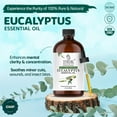 thumbnail image 3 of TRATAK ORGANICS Eucalyptus Essential Oil 4 fl oz, 100% Pure & Natural for Aromatherapy & Diffusers, 3 of 8
