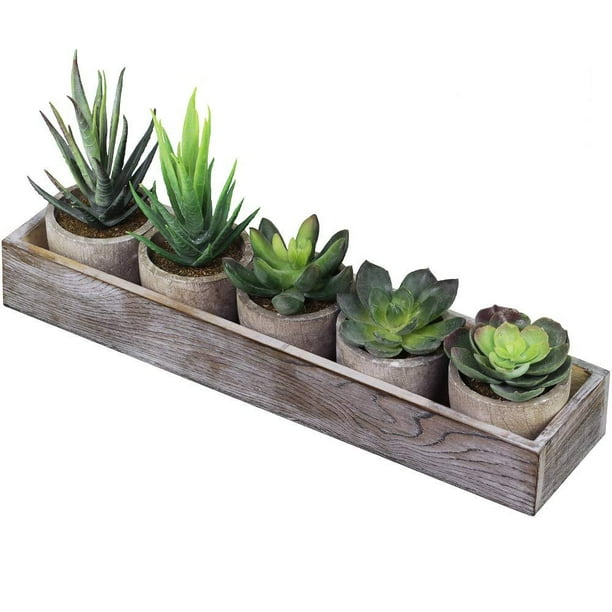 Supla Set Of 5 Mini Fake Succulent Cactus Aloe Potted Plant Arrangements Decorative Assorted Potted Artificial Succulents Plants In Gray Pots Succulent Plants Wood Planter Arrangement Walmart Com Walmart Com