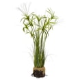 thumbnail image 1 of Nearly Natural 4566 Papyrus Plant with Faux Soil Arrangement, 1 of 2