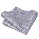 thumbnail image 1 of Nvzi Pañuelos de bolsillo de seda para hombre, 23 x 23 cm, A39, 1 of 5