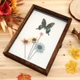 thumbnail image 3 of Specimen Display Box Specimen Case Specimen Holder Specimen Frame Case shadow box frame, 3 of 7