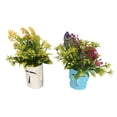 thumbnail image 3 of Decoración de plantas para peceras decoración luminosa de plantas artificiales para acuario 2 uds hermosa para balcones ANGGREK Otros, 3 of 8