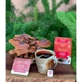 thumbnail image 3 of Teeccino Reishi Eleuthero Mushroom Adaptogen Tea, Caffeine-Free, 25 Tea Bags, 3 of 6