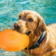All for Paws Dog Rubber Flying Disc, Anti-Bite Dog Flyer, Puppy Fetch Toys ,Orange