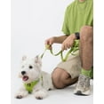 thumbnail image 6 of BELLA & PAL Puppy Harness and Leash Set,Reflective Adjustable Dog Harness for Small Dogs No Pull,Step in Soft Mesh Harness for Small and Medium Dogs,Avocado Green,S, 6 of 8