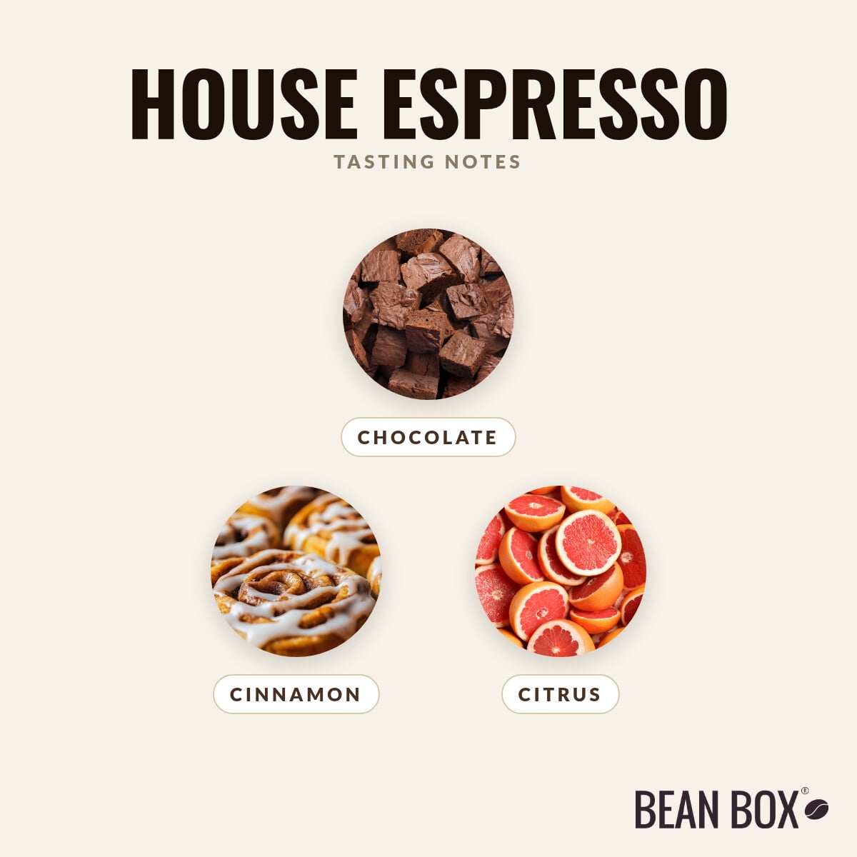 House Espresso - Roasted by Klatch Coffee - Whole Bean Coffee - 310g Bag