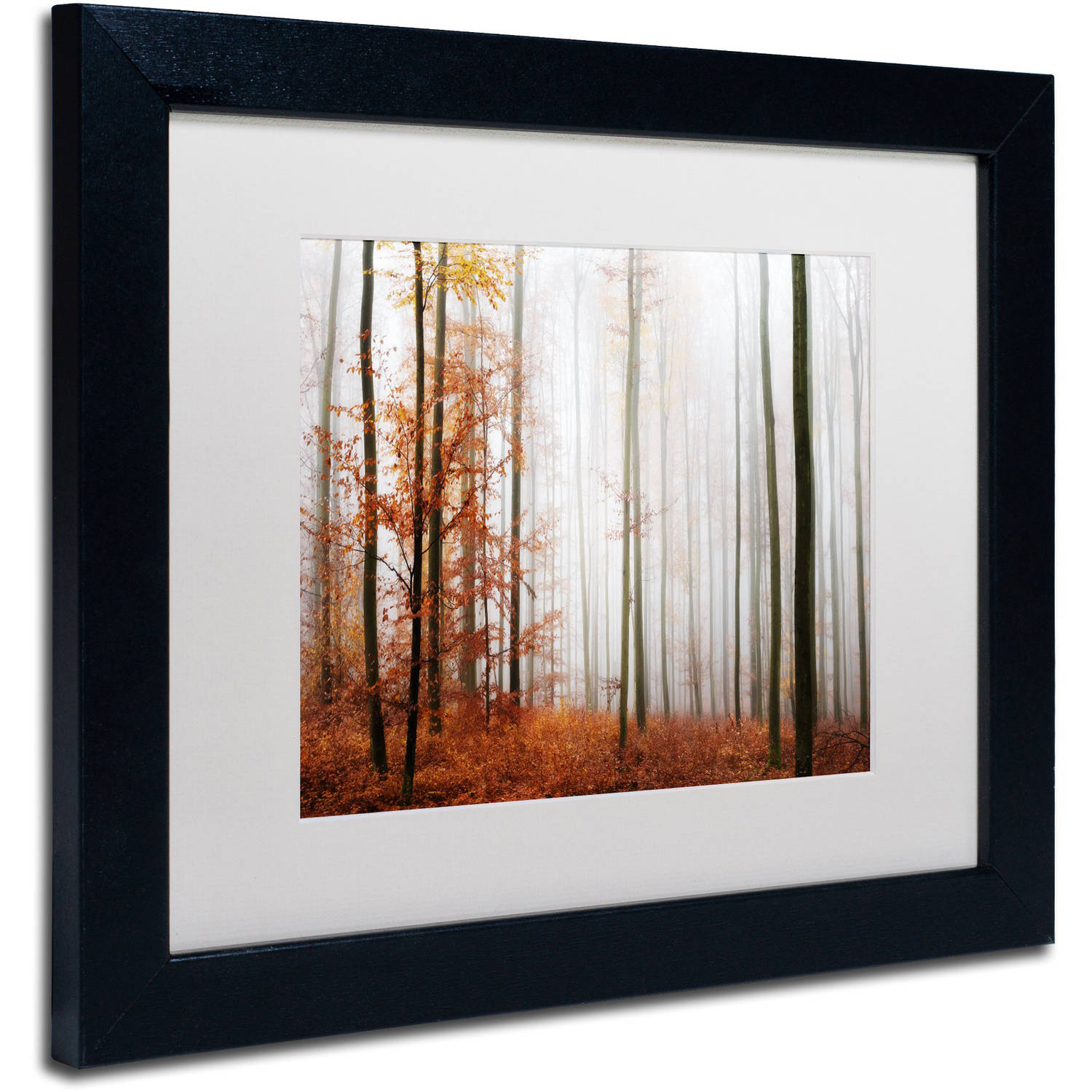 Trademark Fine Art "Forest Corner" Canvas Art by Philippe Sainte-Laudy White Matte, Black Frame