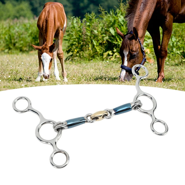Mors de Bouche de Cheval, Mors de 125mm en Acier Inoxydable pour l'Élevage de Chevaux
