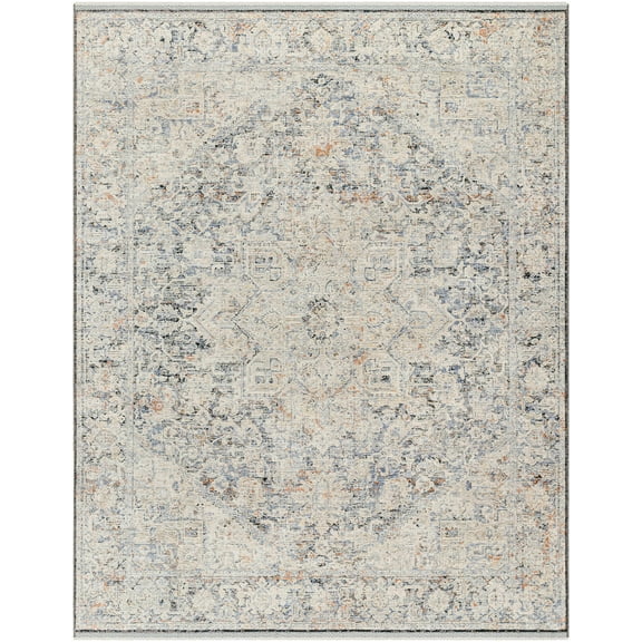 BoutiqueRugs Charo Traditional Area Rug - Light Gray, Taupe, Gray - 9'4" x 13'1"