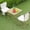 Multicolor, variant on Camping Table with 2 Chairs, 3 Piece Outdoor Folding Table and Chairs Set, Portable Outdoor Camping Picnic Chairs and Table with Fold Up Tabletop and Carry Bag for Outdoor Fishing Hiking Beach Picnic