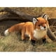 thumbnail image 3 of Marioneta de mano Folkmanis Red Fox Rust White Black, 3 of 3