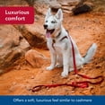 thumbnail image 3 of Correa para perros Coastal New Earth Soy, 2,5 cm x 1,8 m, color rosa, 3 of 7