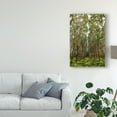 thumbnail image 3 of Trademark Fine Art 'Rubber Trees In Color' Canvas Art by American School, 3 of 4