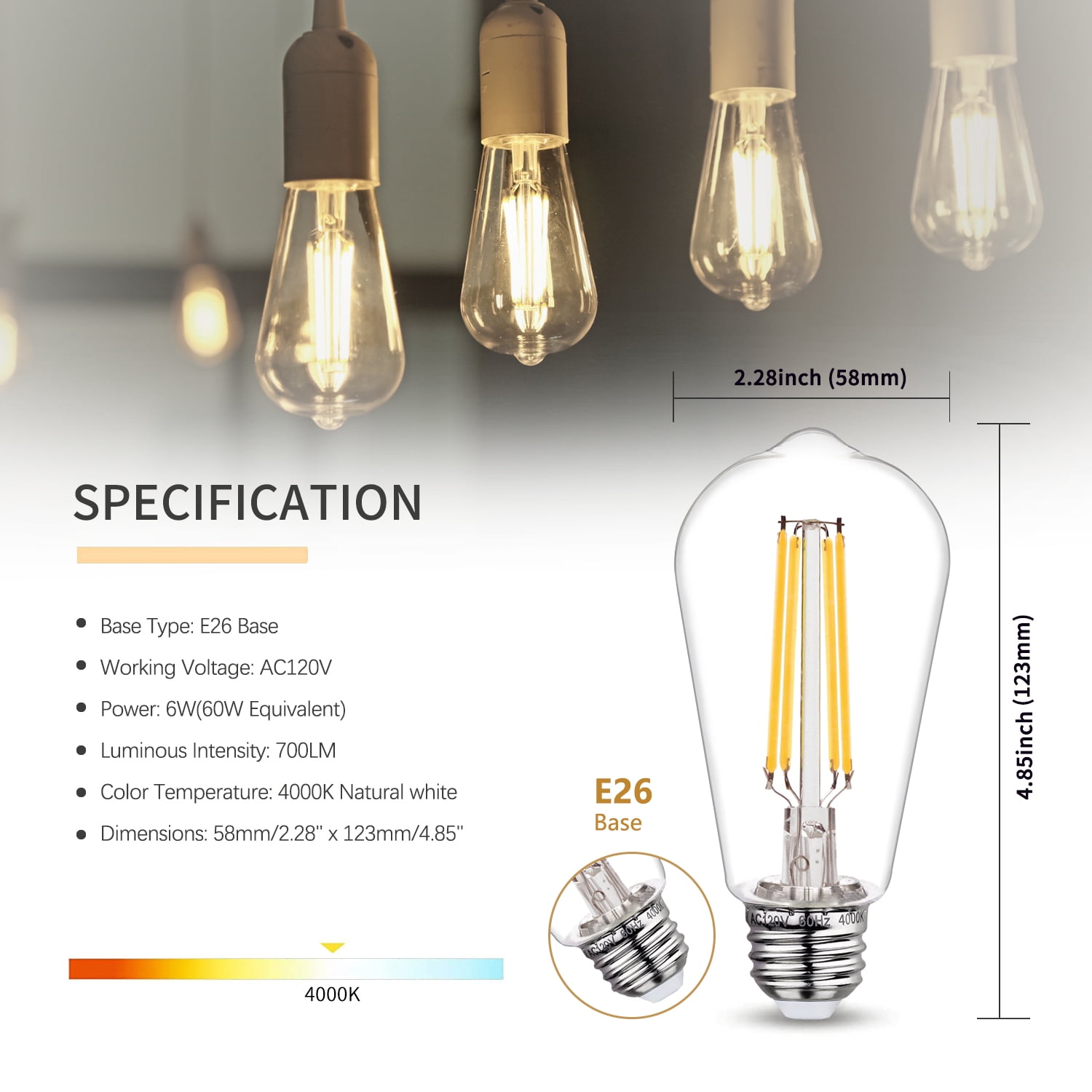 Austin Coast 12-Pack ST58 LED Bulbs, 6W (60W Equivalent), Warm White 2700K, E26 Base, Dimmable, 800 Lumens, Shatterproof