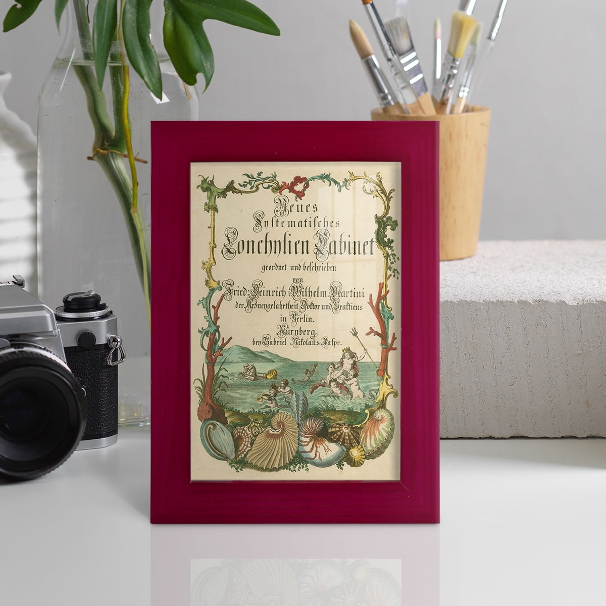 Cabinet of Conchology -Framed Print w/glass-Cherry Red