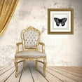 thumbnail image 3 of Vision Studio 15x15 Gold Ornate Wood Framed with Double Matting Museum Art Print Titled - Custom Classical Butterfly II, 3 of 4