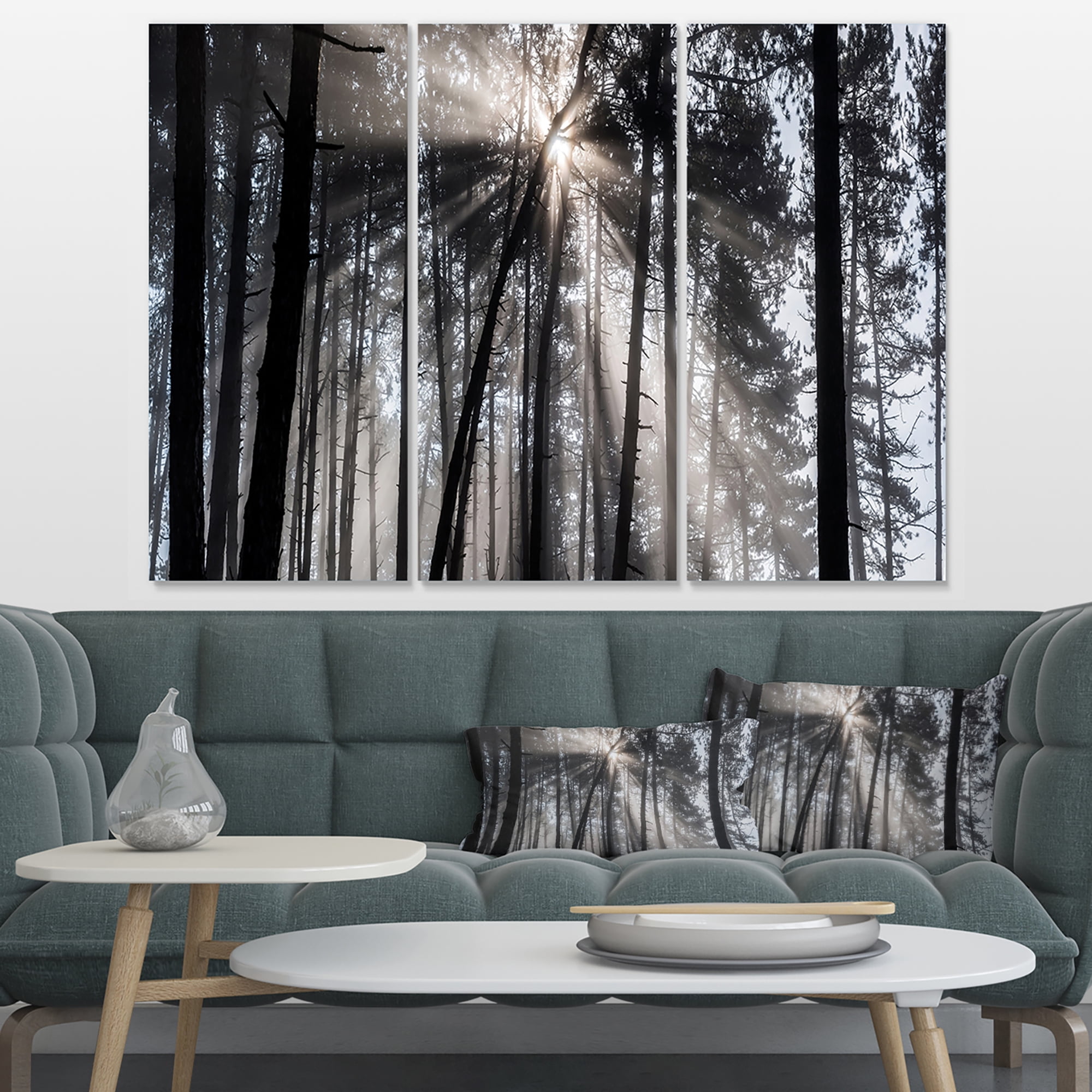 Designart 'Sunbeams through Black White Forest ' Forest Canvas Wall Art Print