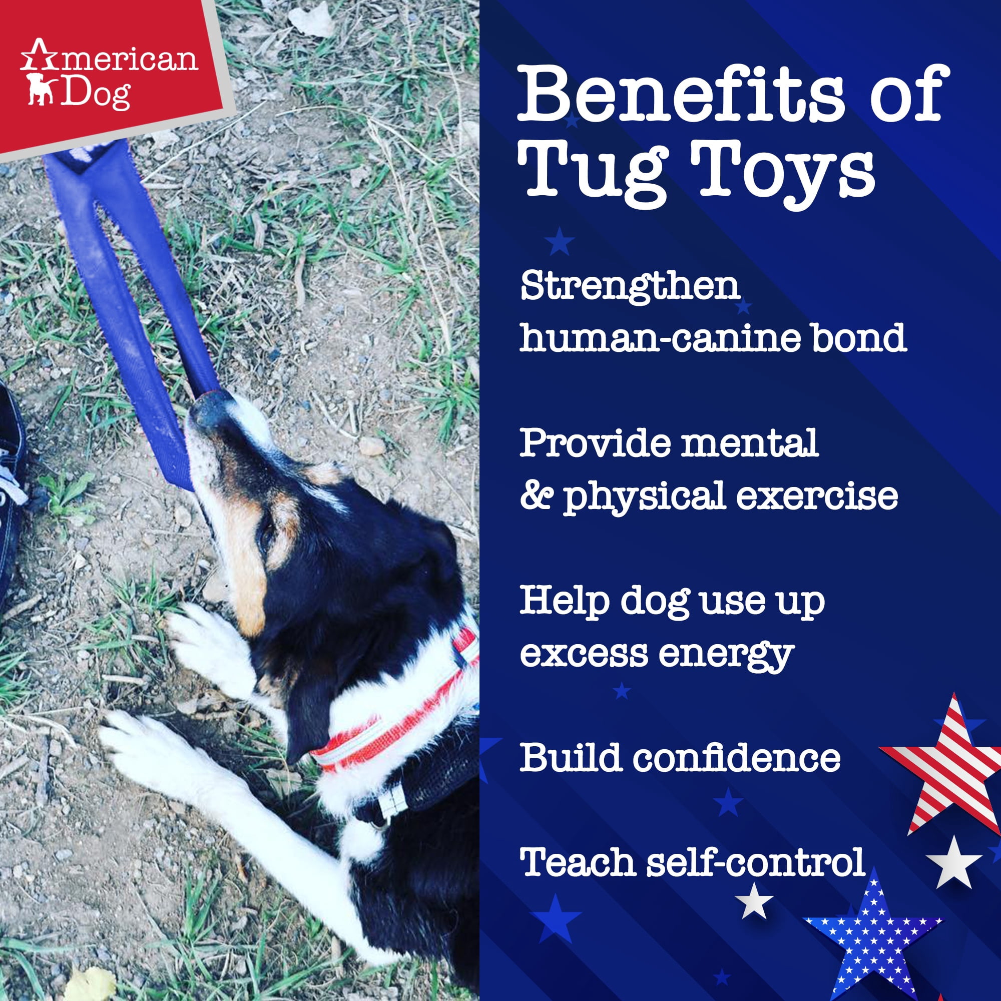 American Dog Infinity Tug – Durable Tug Dog Toy Made in USA from Pet-Safe, Machine-Washable 1680 Nylon Ballistic Material for Bonding, Play Time, Mental Stimulation, Exercise, Training, & More