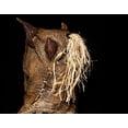 thumbnail image 7 of The Boor Tree Scarecrow - Lord Grimley's Manor Halloween Adult Unisex Latex Full Mask, 7 of 7