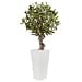 thumbnail image 3 of Nearly Natural 5831 3.5 ft. Olive Tree in White Tower Planter, 3 of 3