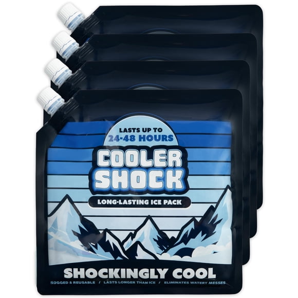 4 Mid-Size Cooler Freeze Packs 10x10 inch Screw Cap. The Coldest Pack at 18 Degrees F. No Ice Needed, Reusable. You Add Water & Save. C.S. Brand Pack