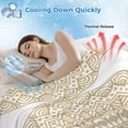 thumbnail image 3 of Beige Boho Cooling Blanket,Lightweight Breathable Summer Throw Blanket with Double Sided Cold Effect,Retro Farmhouse Ethnic Abstract Geometric Art Picnic Blankets Bed Sheet for Hot Sleepers 50"x60", 3 of 8