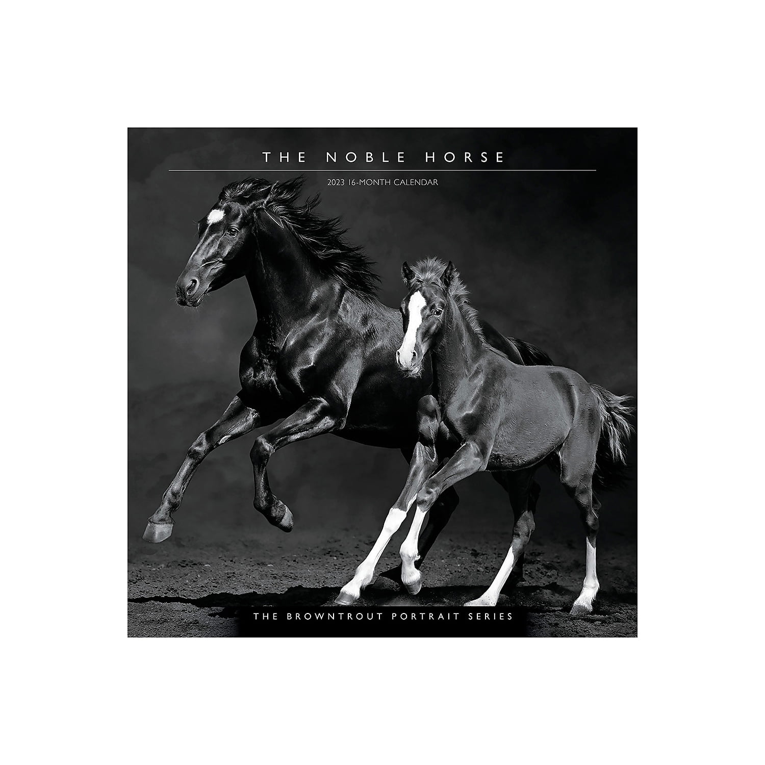 2023 BrownTrout The BrownTrout Portrait Series: The Noble Horse 12'' x 12'' Monthly Wall Calendar