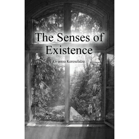 The Senses of Existence (Paperback)