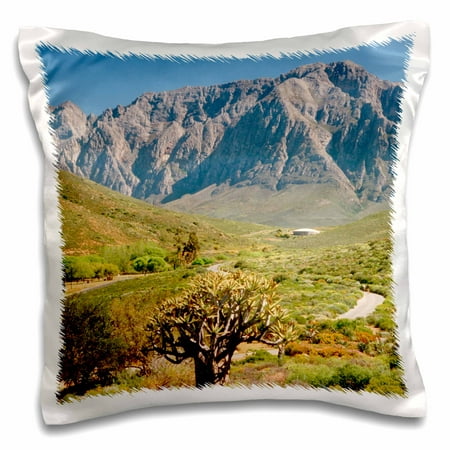 3dRose Mountain range, Worcester Nature Reserve, Western Cape, South Africa. - Pillow Case, 16 by