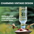 thumbnail image 4 of Perky-Pet Clear Antique Bottle Hummingbird Feeder - 10 oz Capacity, 4 of 12