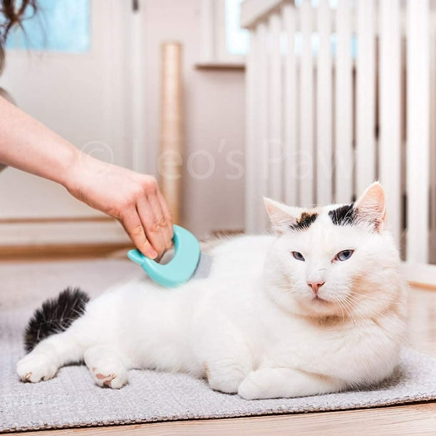 Matted cat hair removal cream discount