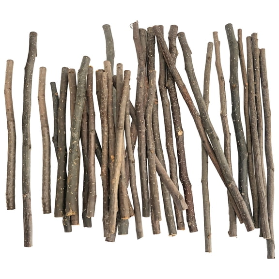 60 Pack Wood Craft Branches – Natural Apple Wood Craft Sticks | Unfinished Branches for DIY Decor, Irregular Wood Sticks for Rustic Art Projects, Crafts