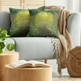 thumbnail image 5 of Ambesonne Forest Throw Pillow Cover 2 Pack, Pathway Trees, 16", Fern Green Yellow, 5 of 5