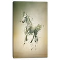 thumbnail image 2 of Cheval Blanc en Mouvement sur Marron - Art Mural sur Toile Animal, 2 of 3