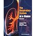 thumbnail image 3 of The Respiratory System at a Glance, 3 of 3