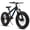 Black + Aluminium, variant on V20235 20 Inch Fat Tire Bike Adult 7 Speed Mountain Bike, Dual Disc Brakes, High Carbon Steel Frame, Front Suspension, Mountain Buggy, City Commuter City Bike, Fat Tire Bike