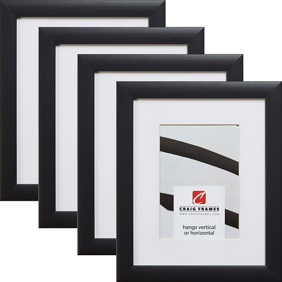 Craig Frames Contemporary, 18 x 24 Inch Black Picture Frame Matted to Display a 12 x 18 Inch Photo, Set of 4