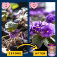 thumbnail image 4 of EarthPods® African Violet Plant Food Capsules (100 Organic Fertilizer Spikes), 4 of 5