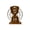 Dark brown, variant on Moon/Ferris Wheel Design Elegant Rotating Desktop Calendar Decoration For Office