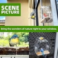thumbnail image 6 of Window Bird Feeder with Non-Marking Self-Adhesive Hooks, Clear and Transparent, Outdoor Wild Bird Watching Gift, Garden Decor (with Large Window), 6 of 6