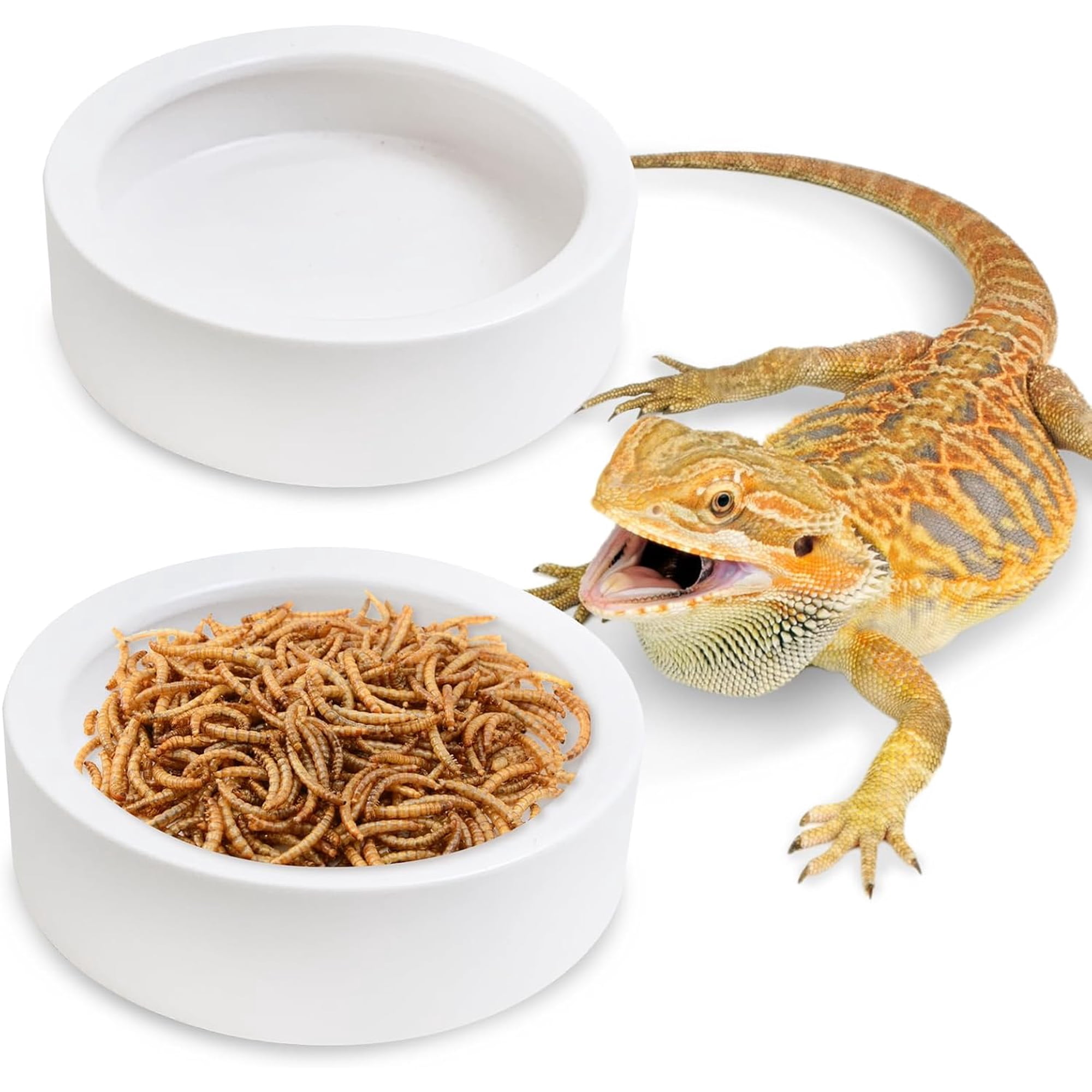 2 Pack Reptile Food Bowl, Ceramic Water Feeder Bowl, Reptile Worm Feeding Dish for Lizard Turtle Bearded Dragon Anoles Crested Gecko Hermit Crab Leopard Gecko Chameleon Corn Snake