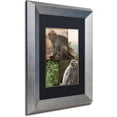 thumbnail image 2 of Trademark Fine Art "Cabela III" Canvas Art by Color Bakery Black Matte, Silver Frame, 2 of 4