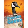 thumbnail image 2 of Canada Geese (North American Animals), 2 of 2
