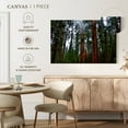 thumbnail image 5 of Elephant Stock Vibrant Redwood Wall Art - Horizontal Canvas Wall Art - Living Room Wall Decor - Floral And Botanical Canvas - Brown And Red Decor - 30" x 20", 5 of 8